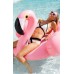 Jumbo Inflatable Flamingo Jumbo Inflatable Flamingo
